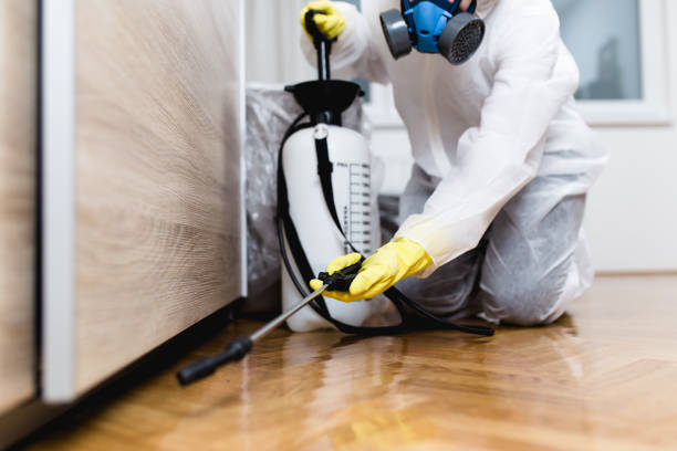 Best Emergency Pest Control  in Forestville, OH