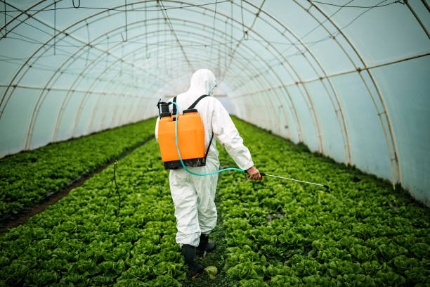 Best Affordable Pest Control Services  in Forestville, OH