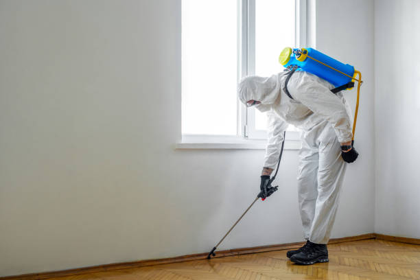  Forestville, OH Pest Control Pros