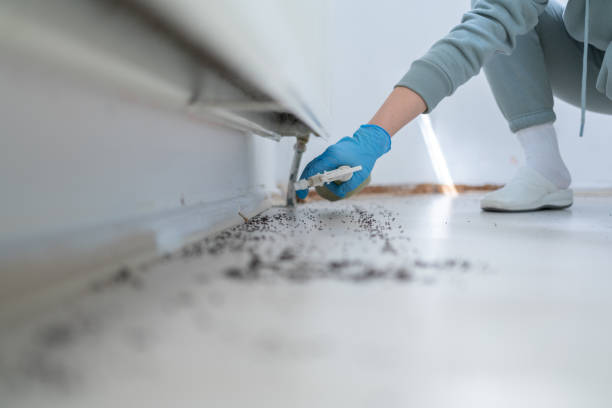 Best Pest Control Near Me  in Forestville, OH